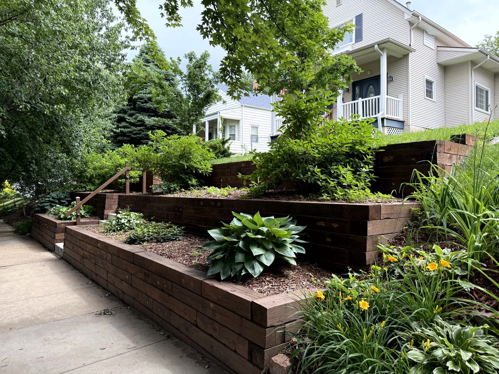 Terraced timber retaining walls with hosta landscaping
